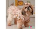 Buy Dog Kurta & Dog Lehenga Online for Rakhi