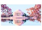 Need Help with Booking or Baggage? Turkish Airline's Washington DC office in US Has You Covered ?