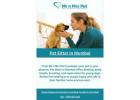 Pet Sitter in Mumbai