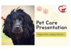 Gurgaon’s Top Pet Crèche – HappyPettings