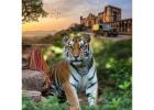 Jaipur Ranthambore Tour Package for Wildlife and Heritage Lovers