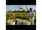 Best Basmati Rice Exporter In India