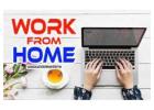BPO Non voice projects and US Medical Form Filling available 7708244092
