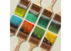 Transform Your Walls with Chameleon Paints – Trusted Paint Suppliers in UAE