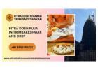 Pitra Dosh Puja in Trimbakeshwar and Cost | Narayan Nagbali Puja