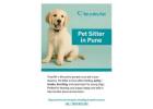 Pet Sitter in Pune