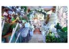 Flower Arrangements Mississauga | Custom Bouquets & Same-Day Delivery