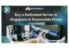 Buy a Dedicated Server in Singapore at Reasonable Prices