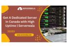 Get A Dedicated Server in Canada with High Uptime | Serverwala