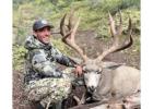 Wyoming Elk Hunting with Jackson Hole Outfitters