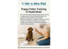 Puppy Potty Training in Hyderabad