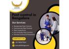 pest control in Bangalore