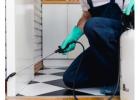 Expert Bedbug Control Services in Manchester