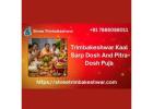Trimbakeshwar Kaal Sarp Dosh And Pitra Dosh Puja