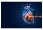 Congenital Heart doctor in Kerala