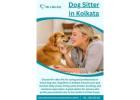 Dog Sitter in Kolkata