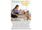 Puppy Potty Training in Mumbai