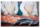 Seafood Processing Course 