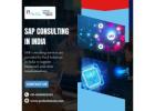 SAP Consulting in India | Ariba Partners in 