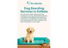 Dog Boarding Services in Kolkata