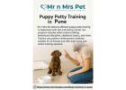 Puppy Potty Training in Pune