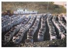 Buy High-Quality Gilsonite in UAE – Affordable & Trusted