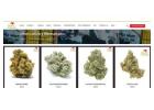 Premium Weed Delivery Manhattan – Same Day Cannabis Delivery