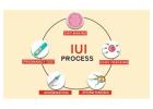 IUI Treatment Cost in Delhi - Dr Rhythm Gupta