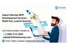 Expert Startup MVP Development Services – Build Fast, Launch Smarter