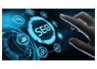 SEO Freelancer in Delhi