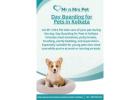 Day Boarding for Pets in Kolkata
