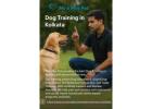 Dog Training in Kolkata