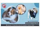 Dog Kennel Gurugram – HappyPettings