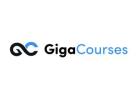 Ecommerce Seo Course for Beginner: Comprehensive Solution