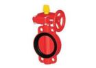 Gear-Operated Grooved Butterfly Valves for Fire Sprinklers