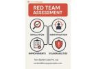 Red Team Assessment Services