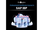 Advance Your Supply Chain Career with GoLogica SAP IBP Online Training