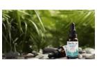 Explore Relaxation with Quality Vape Alternatives