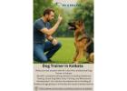 Dog Trainer in Kolkata