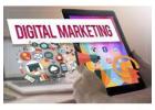 SEO Course in Shimla with Google Tools Training
