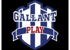 Gallant Play – Delhi NCR’s Top Skating Academies