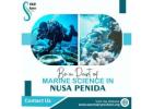 Be a Part of Marine Science in Nusa Penida
