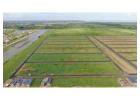 Find Kisan kota Plots in Greater Noida