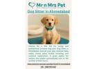 Dog Sitter in Ahmedabad