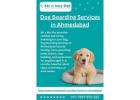 Dog Boarding Services in Ahmedabad