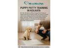 Puppy Potty Training in Kolkata