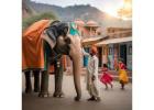 Rajasthan Heritage Tour Packages for History Architecture and Royalty Lovers