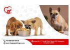 Gurugram Pet Care by Happypettings