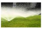 Choose The DIY Irrigation System for Efficient Lawn Watering