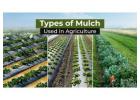 Mulching Methods and Types in India
